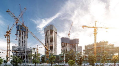 建设工程分公司设立后的运营要务与成本分析